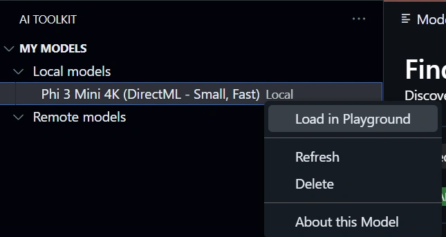 load_model_into_playground