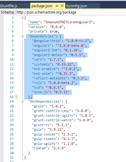 Package.json