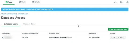 Database user tab