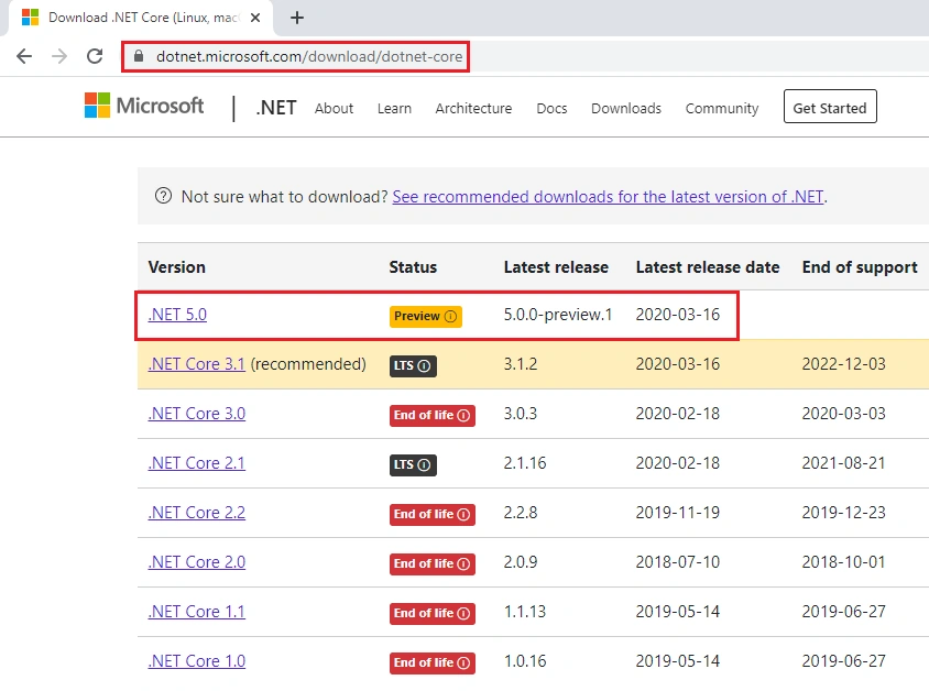.NET 5.0