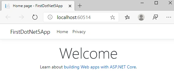 .NET 5.0