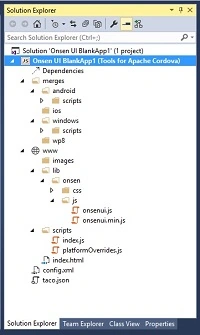 Solution Bar