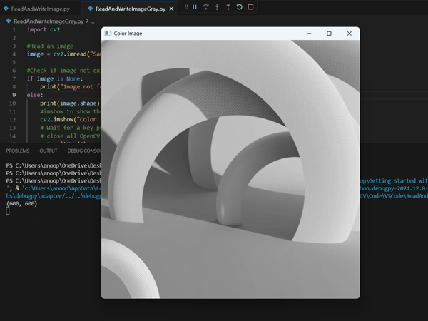 Open colored image to grayscale using OpenCV