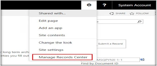 management section