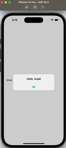 SwiftUI Project output