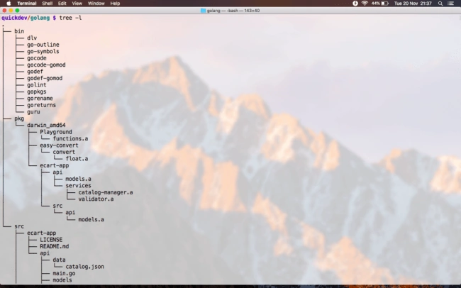 Go For Golang