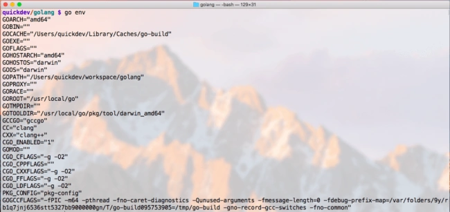 Go For Golang