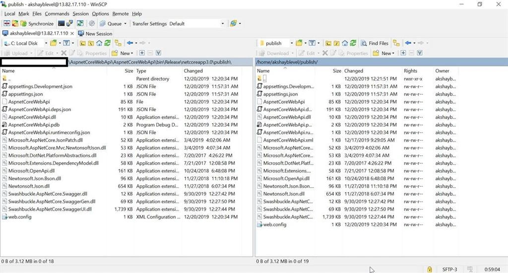 Host ASP.NET Core Web API On Linux Azure VM