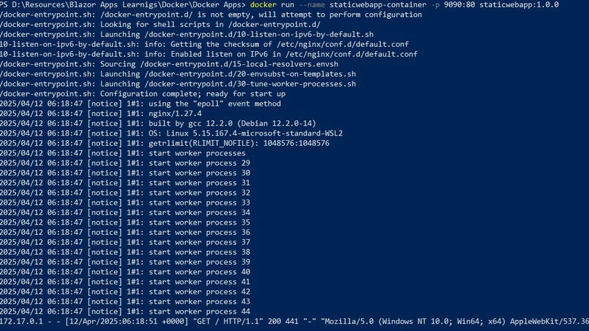 Container startup logs