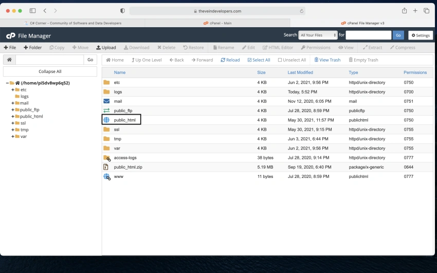 Hosting A Website Using Cpanel