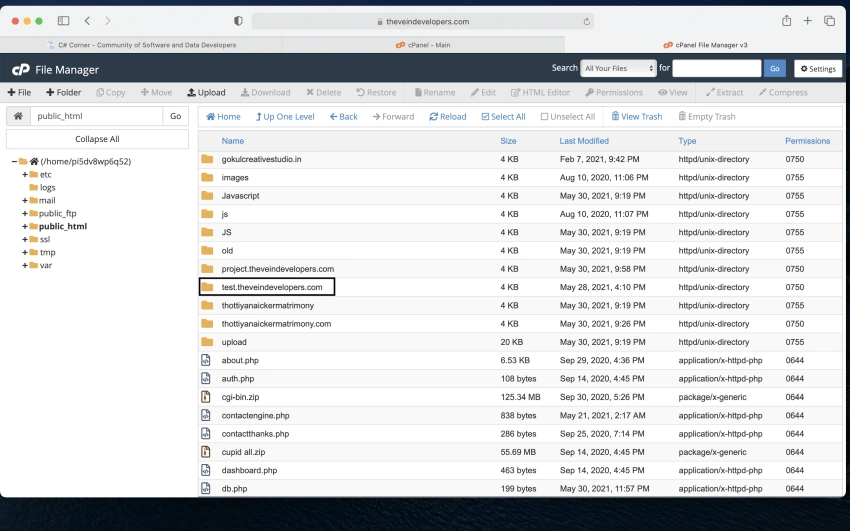 Hosting A Website Using Cpanel
