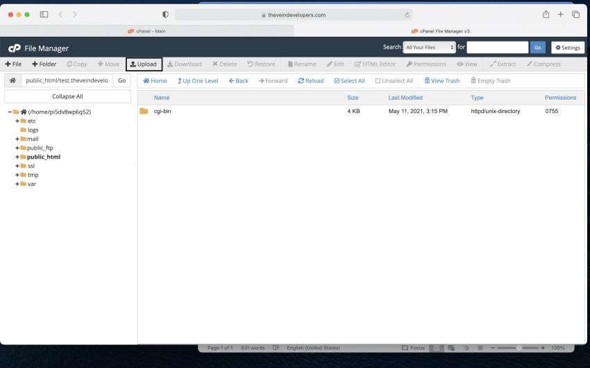 Hosting A Website Using Cpanel