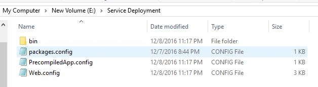 Hosting Server