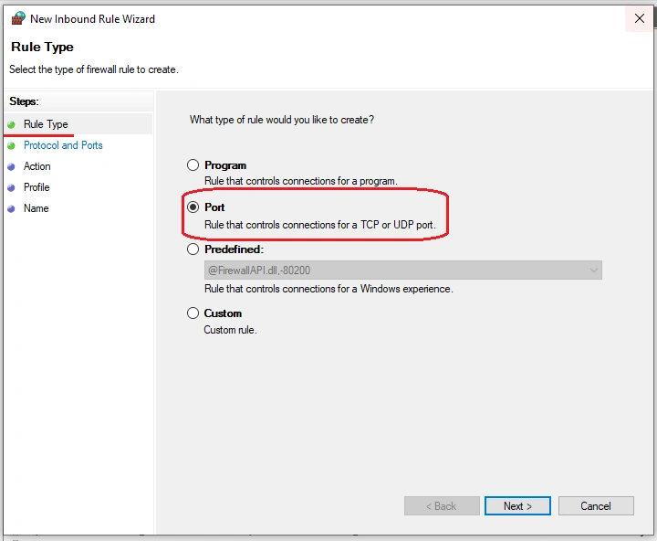 Access Website Hosted In IIS On LAN
