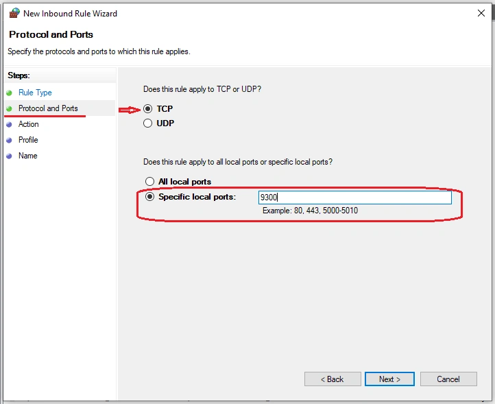 Access Website Hosted In IIS On LAN