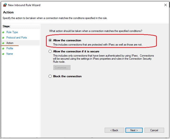 Access Website Hosted In IIS On LAN