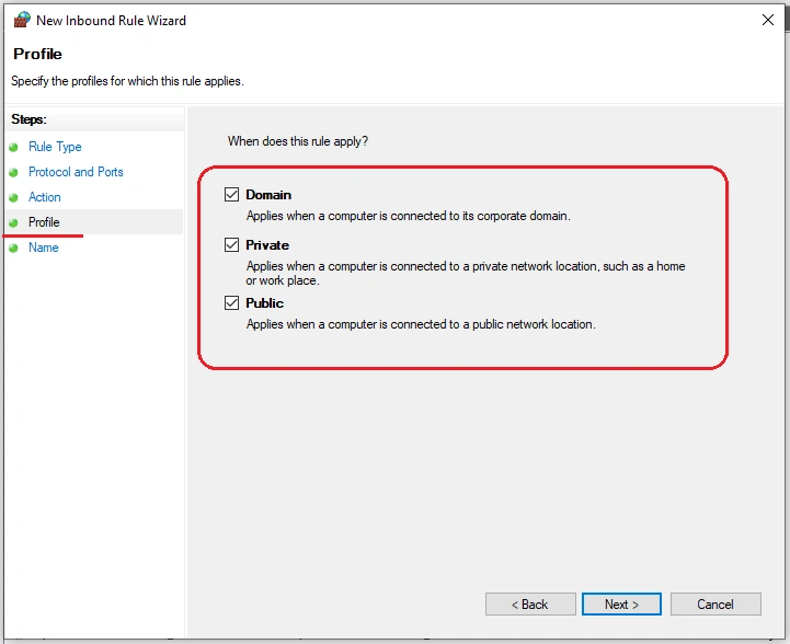 Access Website Hosted In IIS On LAN