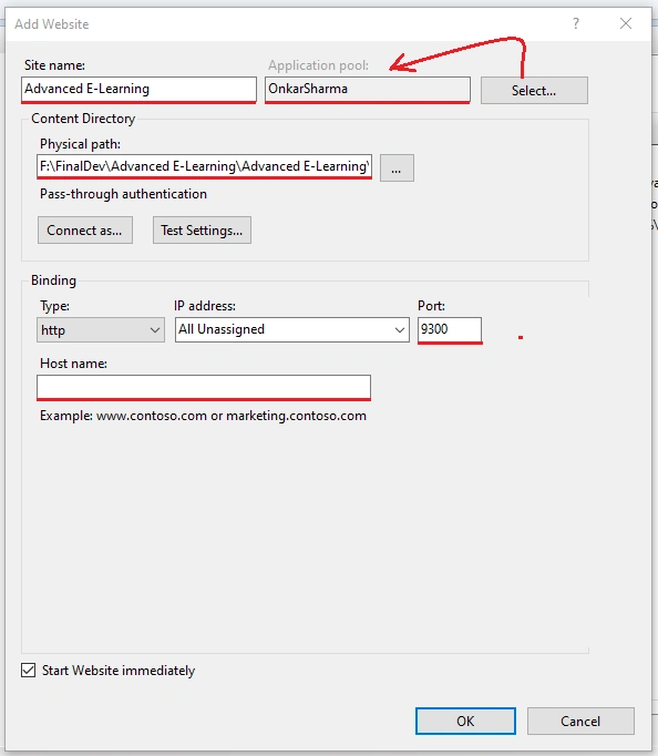 Access Website Hosted In IIS On LAN