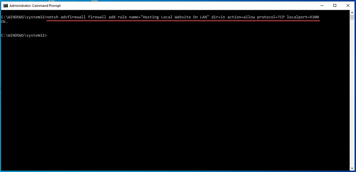Access Website Hosted In IIS On LAN