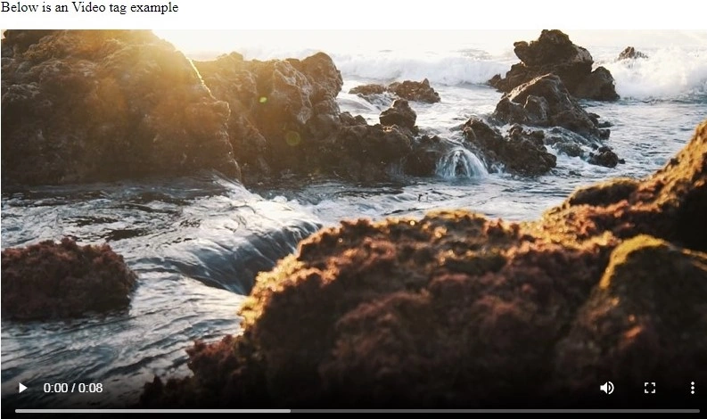 video tag