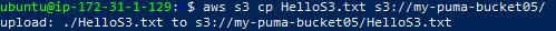 Check new file