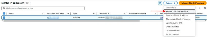 Release ElasticIP