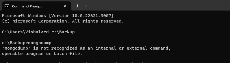 Setup the MongoDB Database Tools Commands
