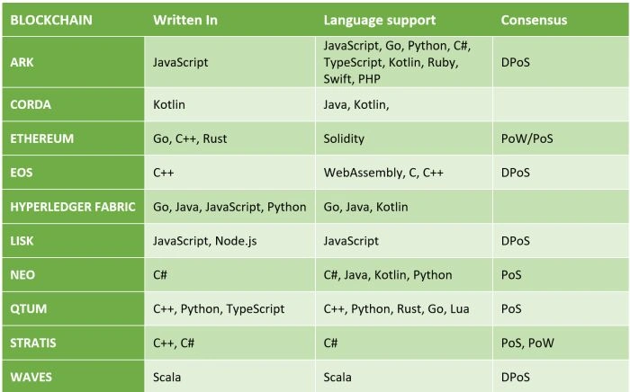 Blockchain Programming Languages