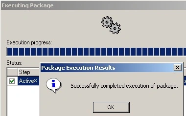 Page execution results