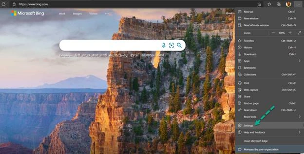 How To Remove Cache From The Browsers