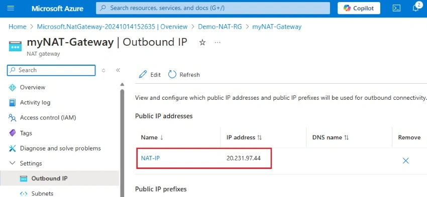 Publish IP