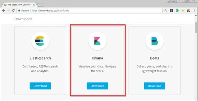 Kibana