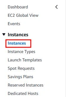 Instances