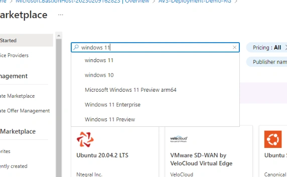 Windows 11