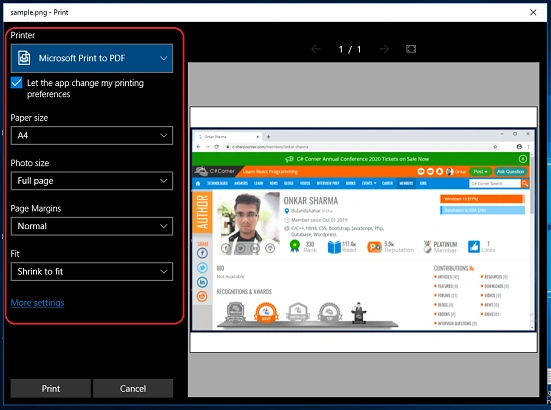 print window will appear on the screen