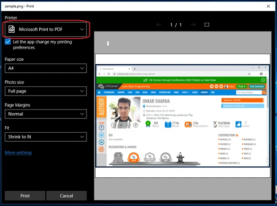 select the "Microsoft Print to PDF" option