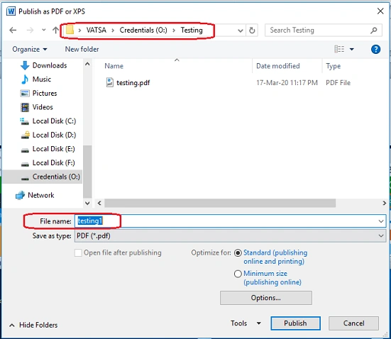 publish it as pdf