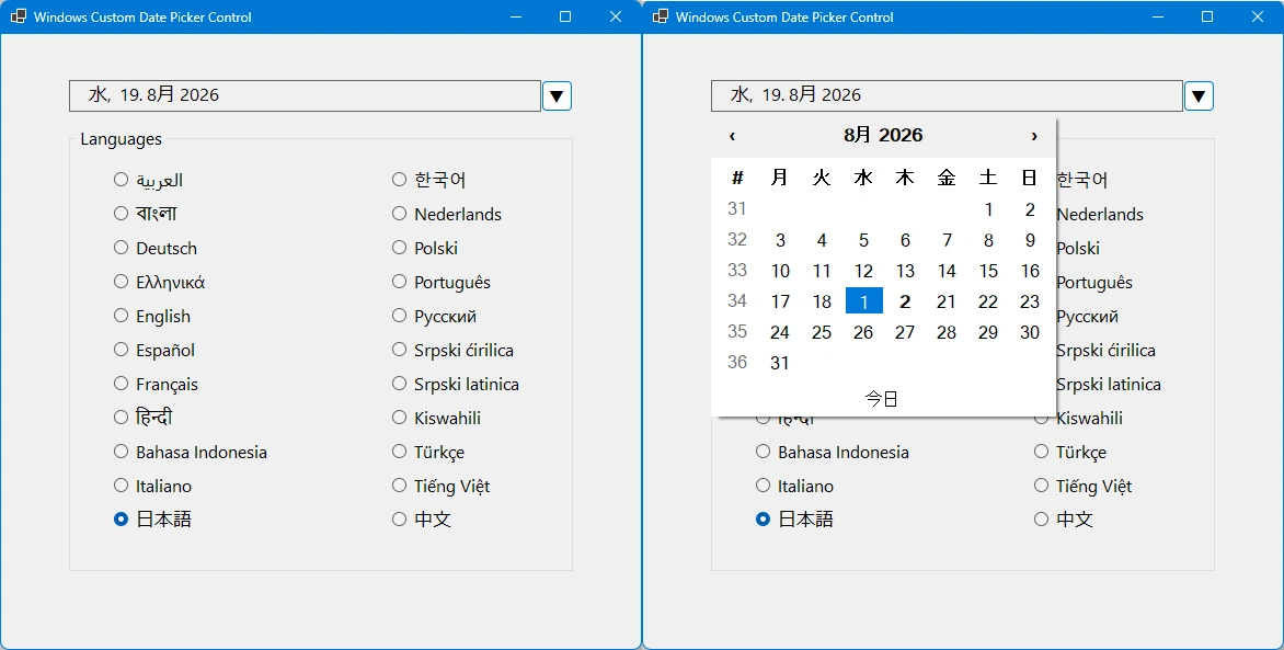 Screen shot Japanese