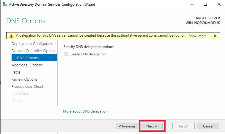 DNS Options