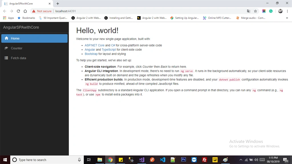 How To Create Angular App With .NET Core In Visual Studio