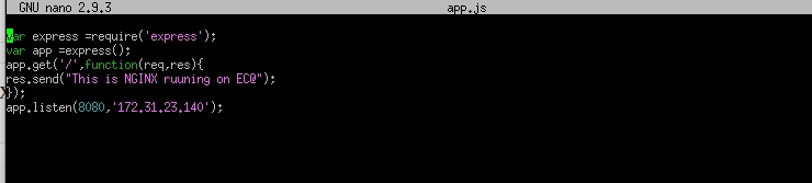How To Create AWS EC2 Instance And Host NodeJS Application With Nginx