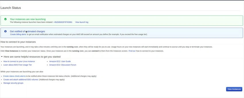 Instance running