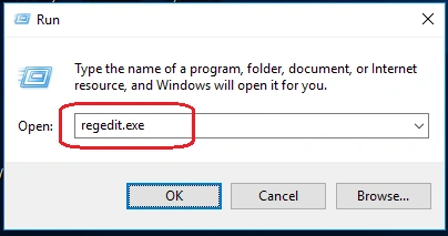RUN command