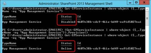 DNS