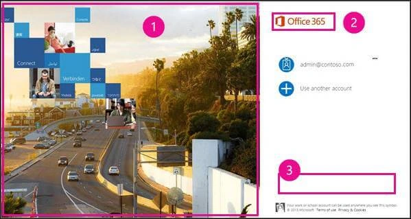 Office 365