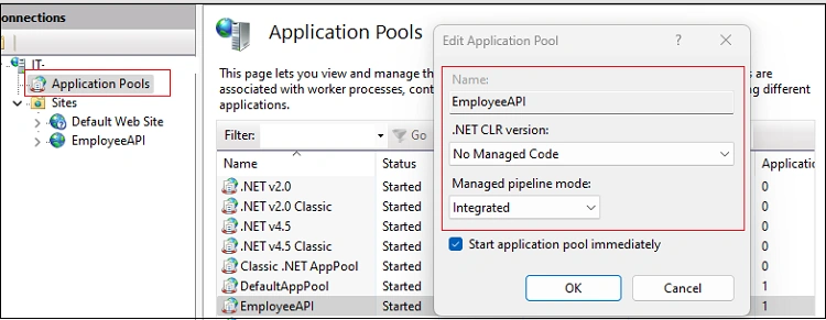 .NET CLR Version