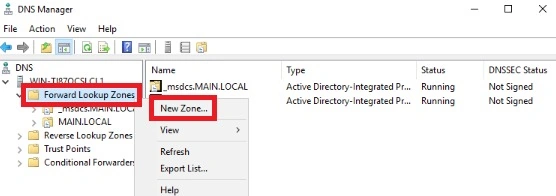 Forward lookup zone
