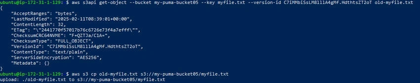 Get Object