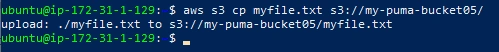 Uploaded file