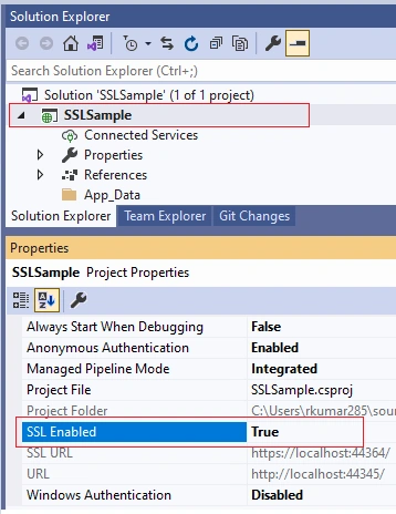Solution Explorer